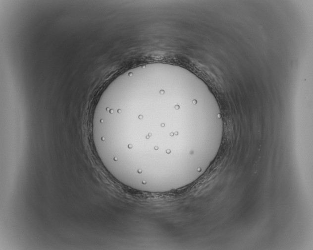 X0000111671105200907171438