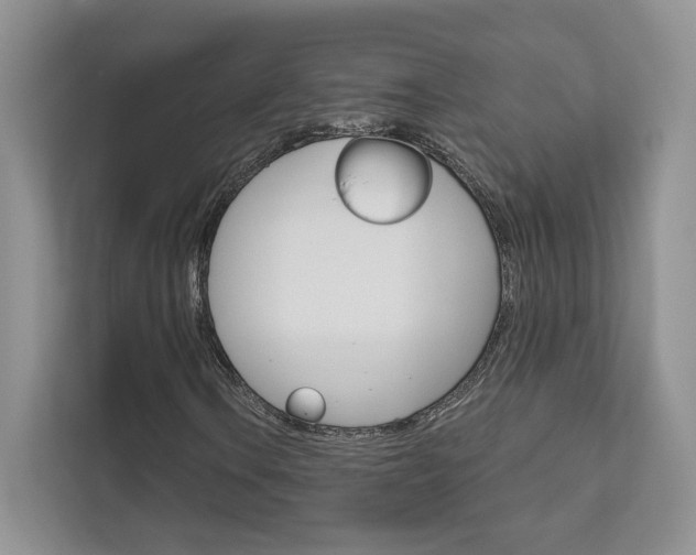 X0000111671106200907171438