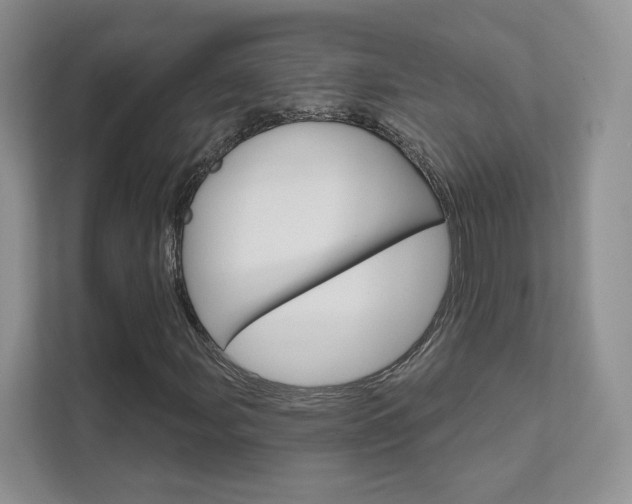 X0000111671107200907171438