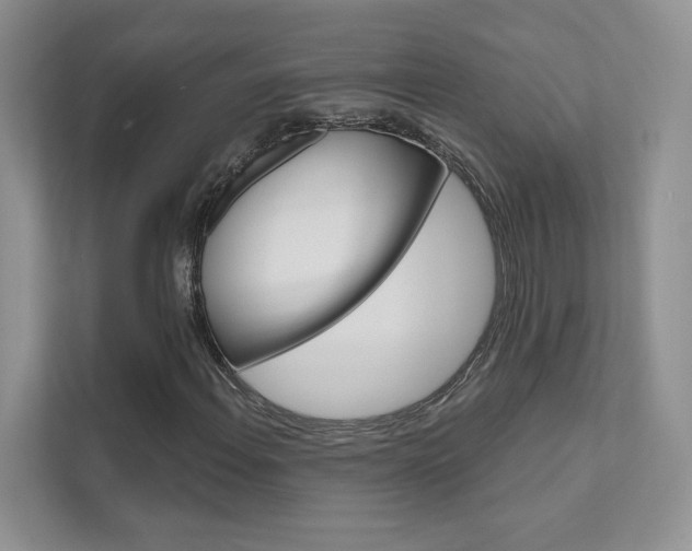 X0000111671108200907171438