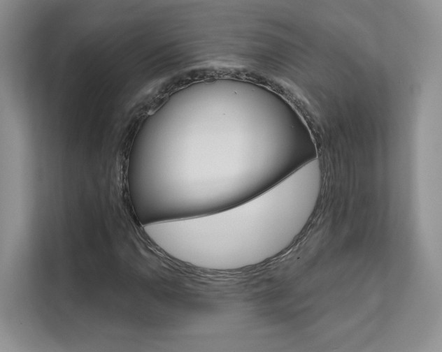 X0000111671110200907171438