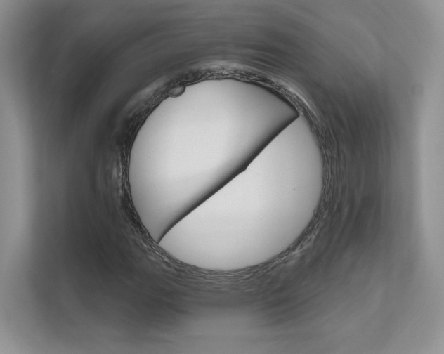 X0000111671111200907171438