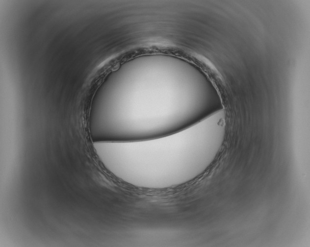 X0000111671112200907171438