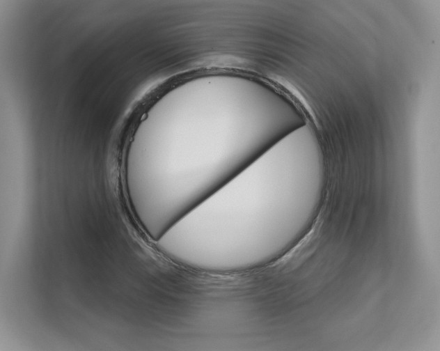 X0000111671115200907171439