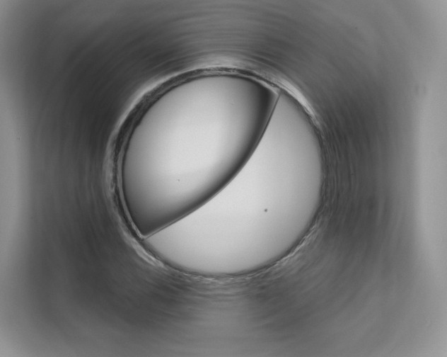 X0000111671116200907171439