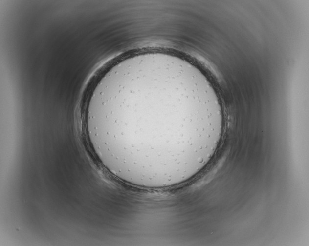 X0000111671117200907171439