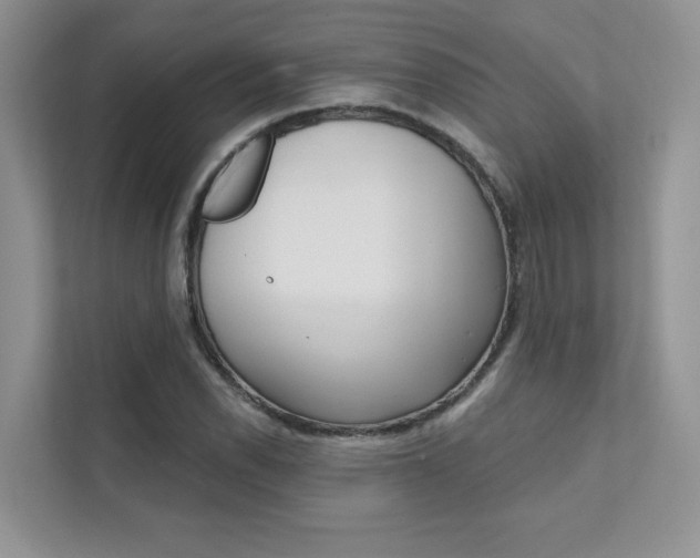 X0000111671118200907171439