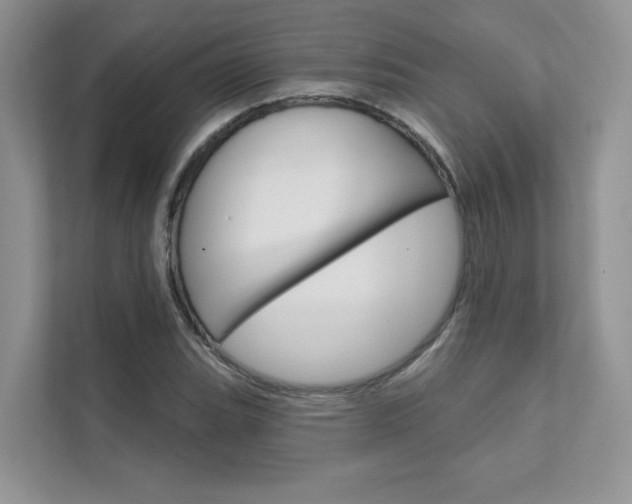 X0000111671119200907171439