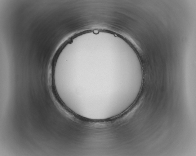 X0000111671126200907171439