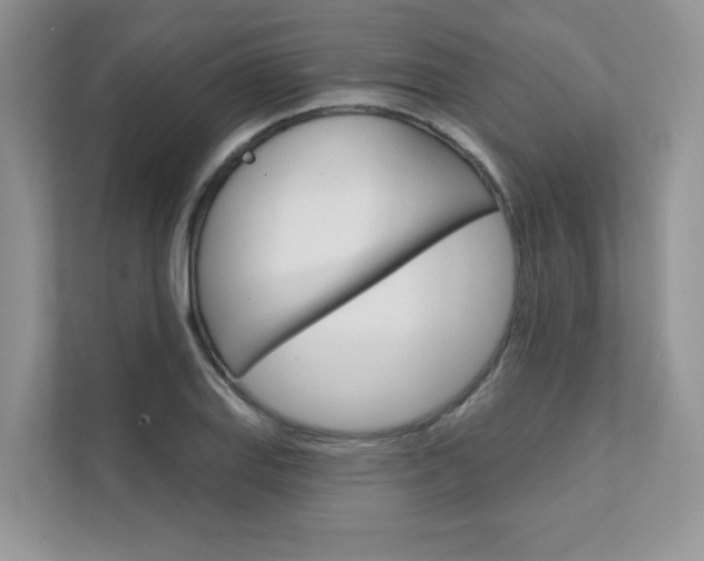 X0000111671127200907171439