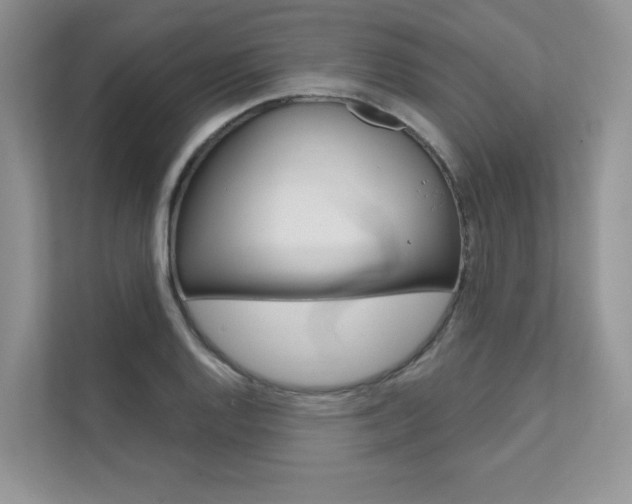 X0000111671128200907171439