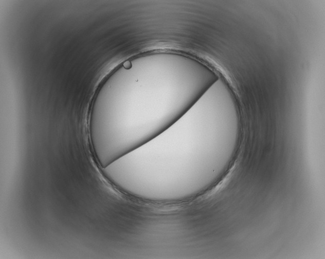 X0000111671129200907171439
