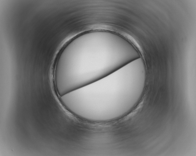 X0000111671133200907171439