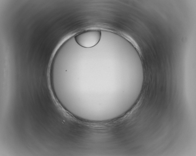 X0000111671138200907171439