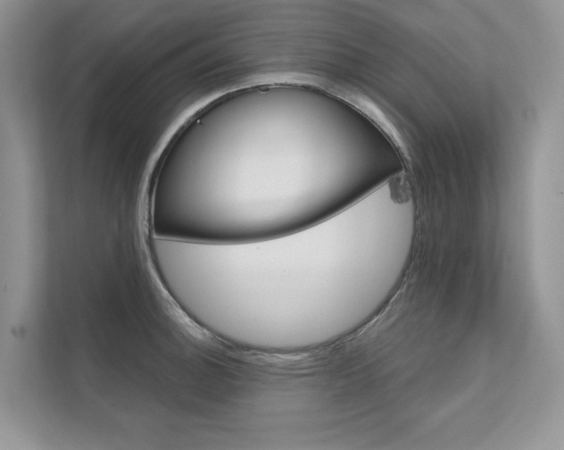 X0000111671140200907171439