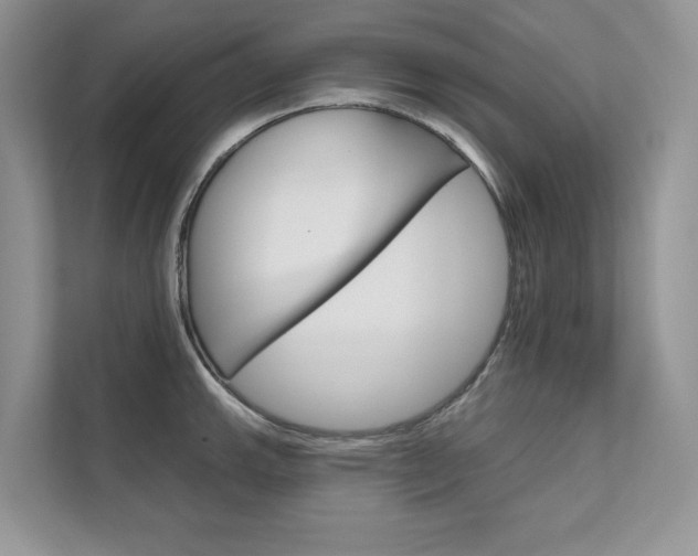 X0000111671143200907171439