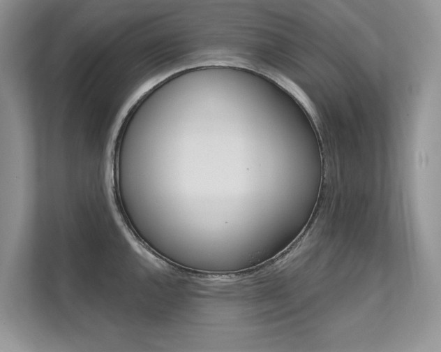 X0000111671144200907171439