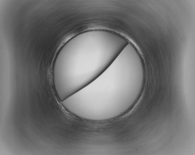 X0000111671145200907171439