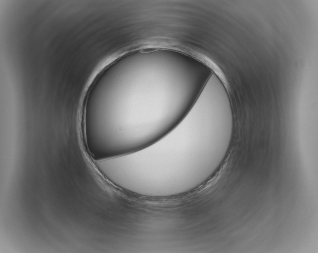 X0000111671146200907171439
