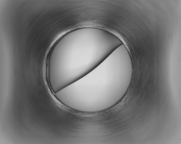 X0000111671147200907171439