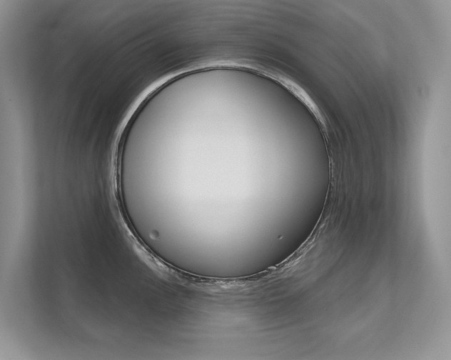 X0000111671148200907171439