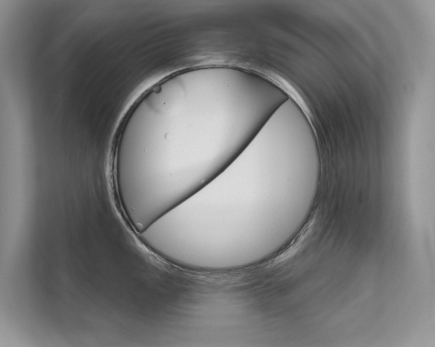 X0000111671149200907171439