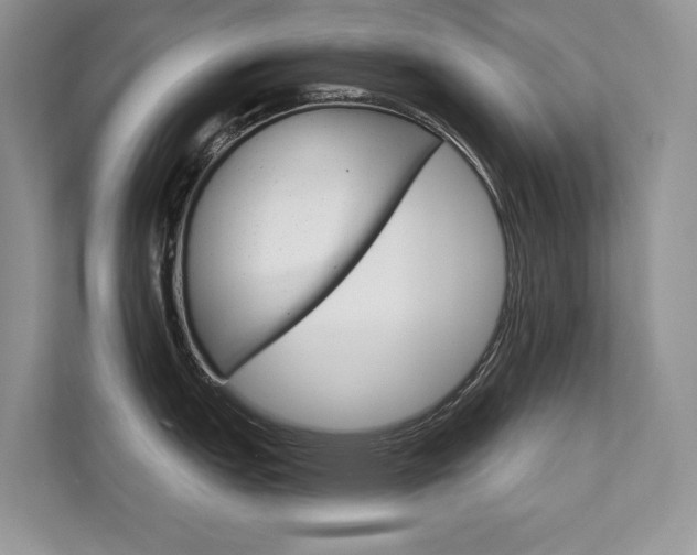 X0000111671151200907171439