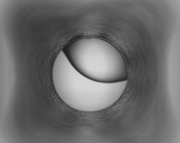 X0000111671153200907171438