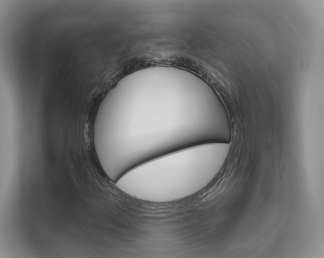 X0000111671156200907171438