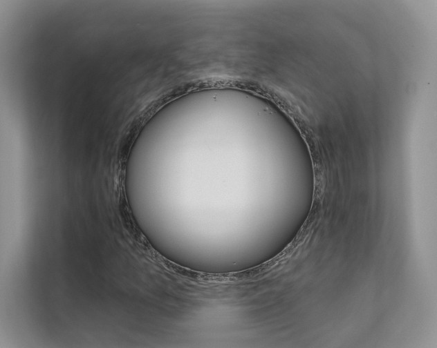 X0000111671157200907171438