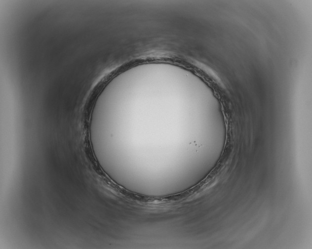 X0000111671160200907171438