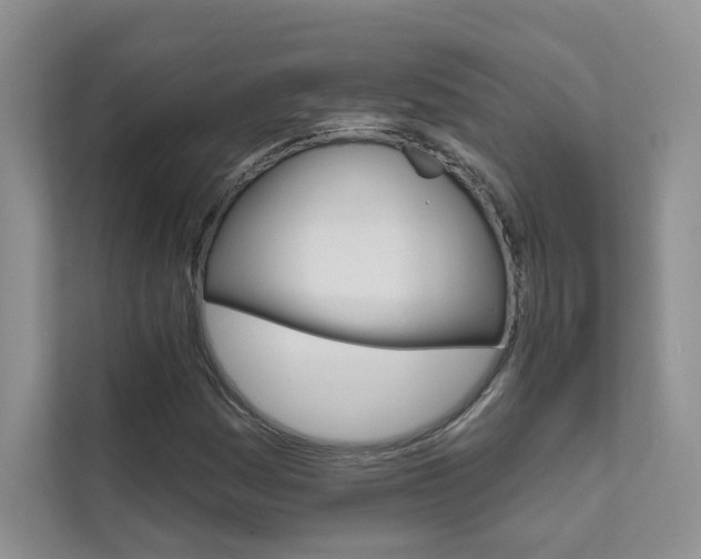 X0000111671161200907171438