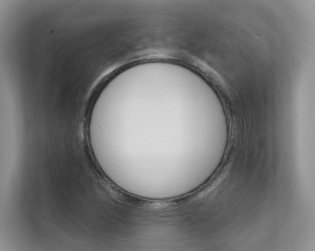 X0000111671166200907171438