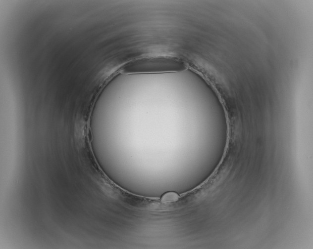 X0000111671169200907171438