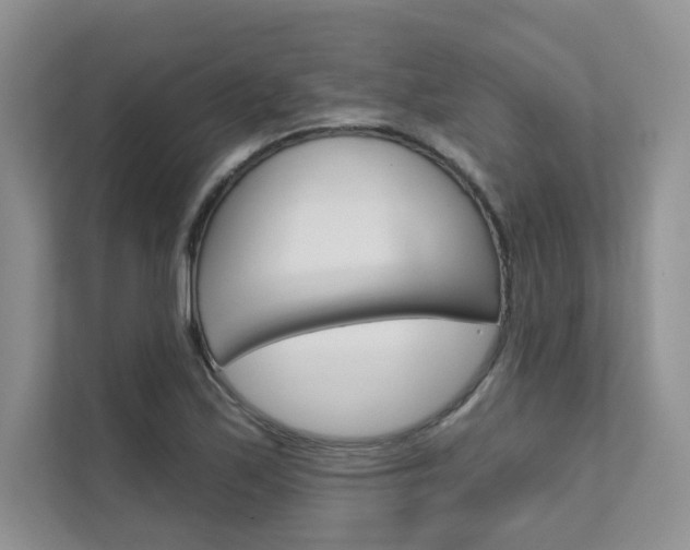 X0000111671171200907171438