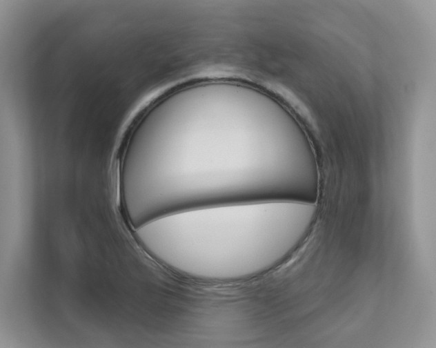 X0000111671175200907171438