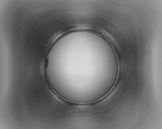 X0000111671177200907171438