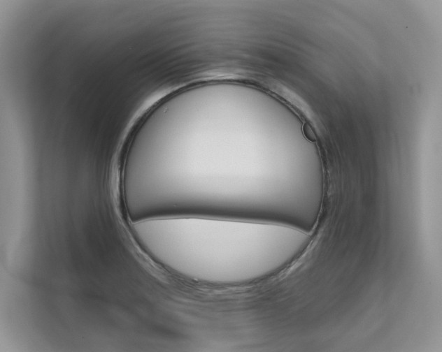 X0000111671179200907171438