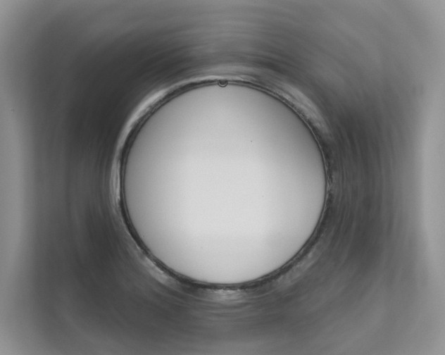 X0000111671180200907171438