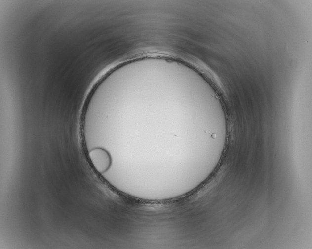 X0000111671182200907171438