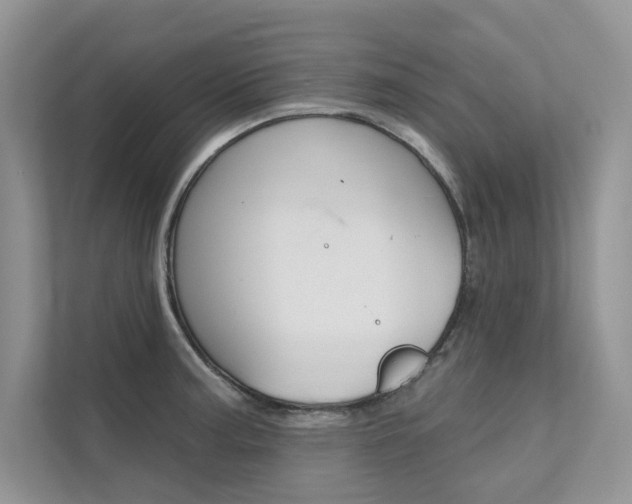 X0000111671187200907171438
