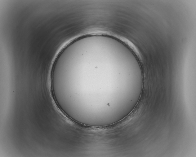 X0000111671191200907171438