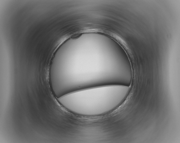 X0000111671193200907171438