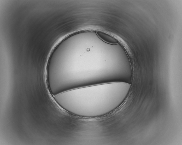 X0000111671199200907171438