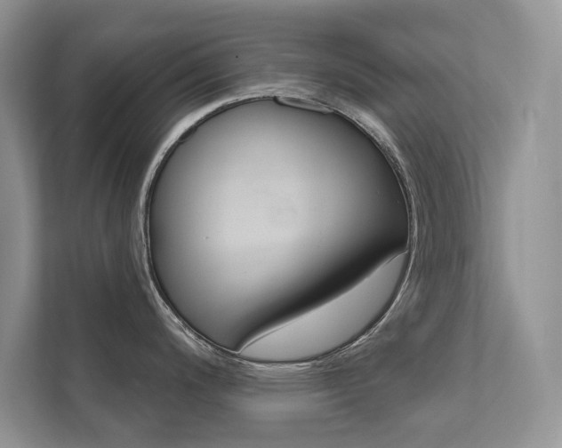 X0000111671200200907171438