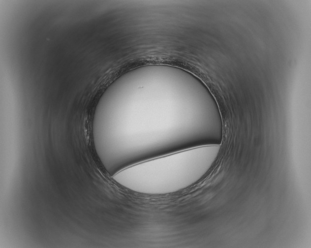 X0000111671202200907171437