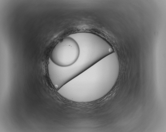 X0000111671205200907171437