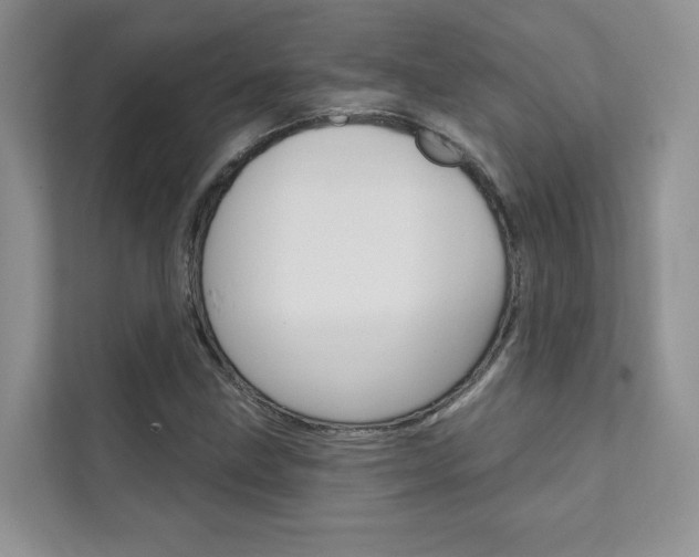 X0000111671211200907171437