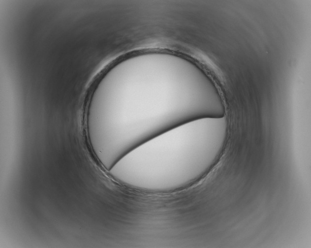 X0000111671216200907171437