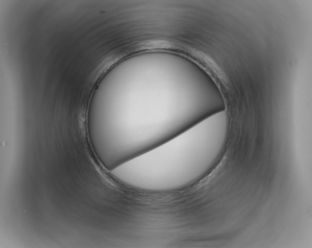 X0000111671225200907171437